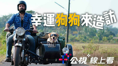 幸運狗狗來造訪