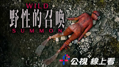 野性的召喚