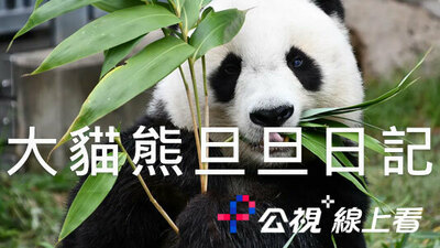 大貓熊旦旦日記