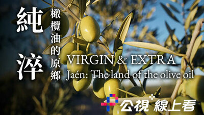 純淬：橄欖油的原鄉