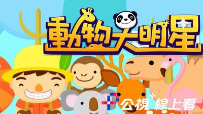 動物大明星