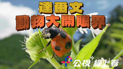 達爾文動物大開眼界