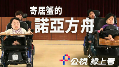 寄居蟹的諾亞方舟